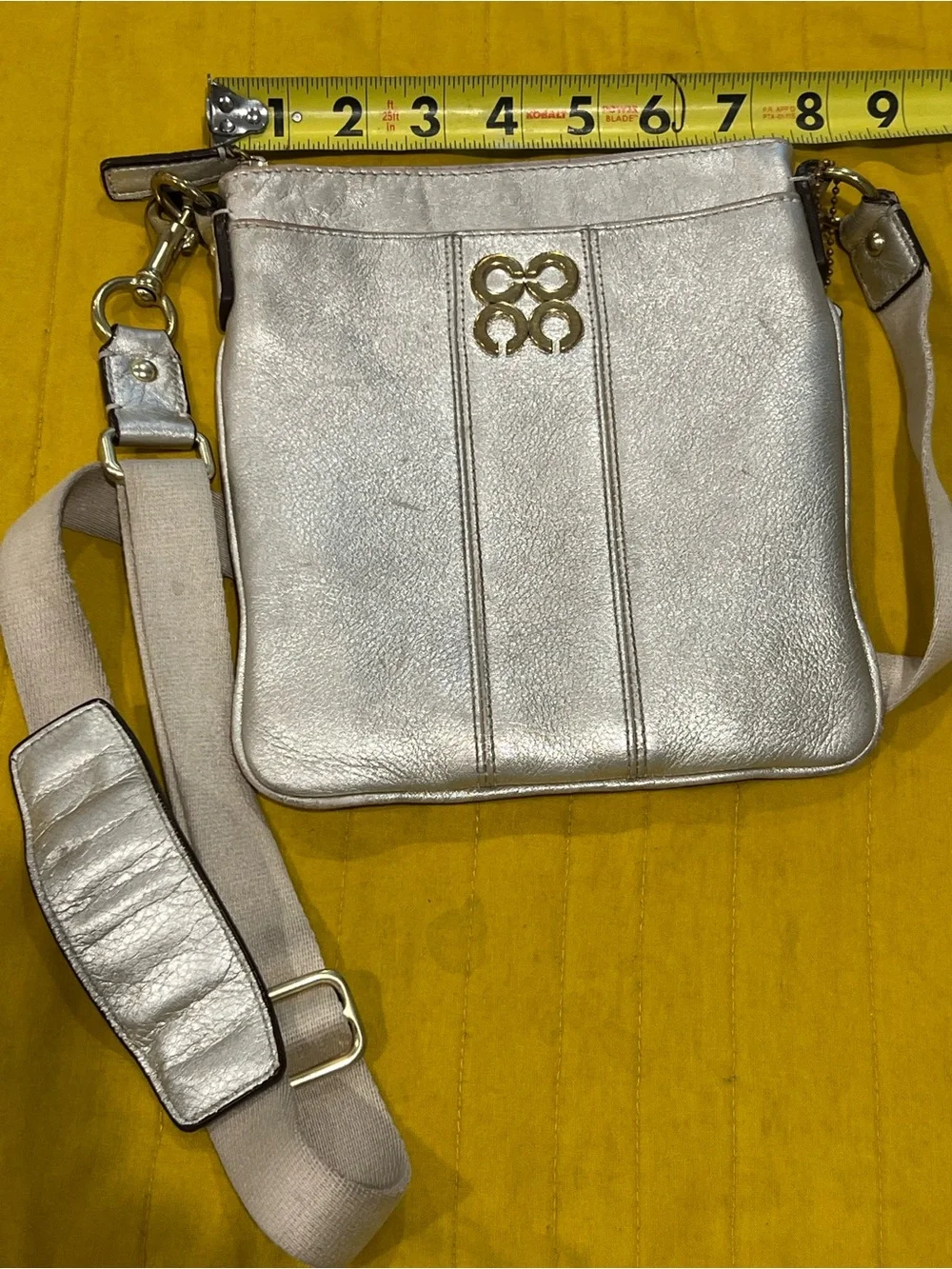 Metallic Silver Crossbody Bag with Gold Accent